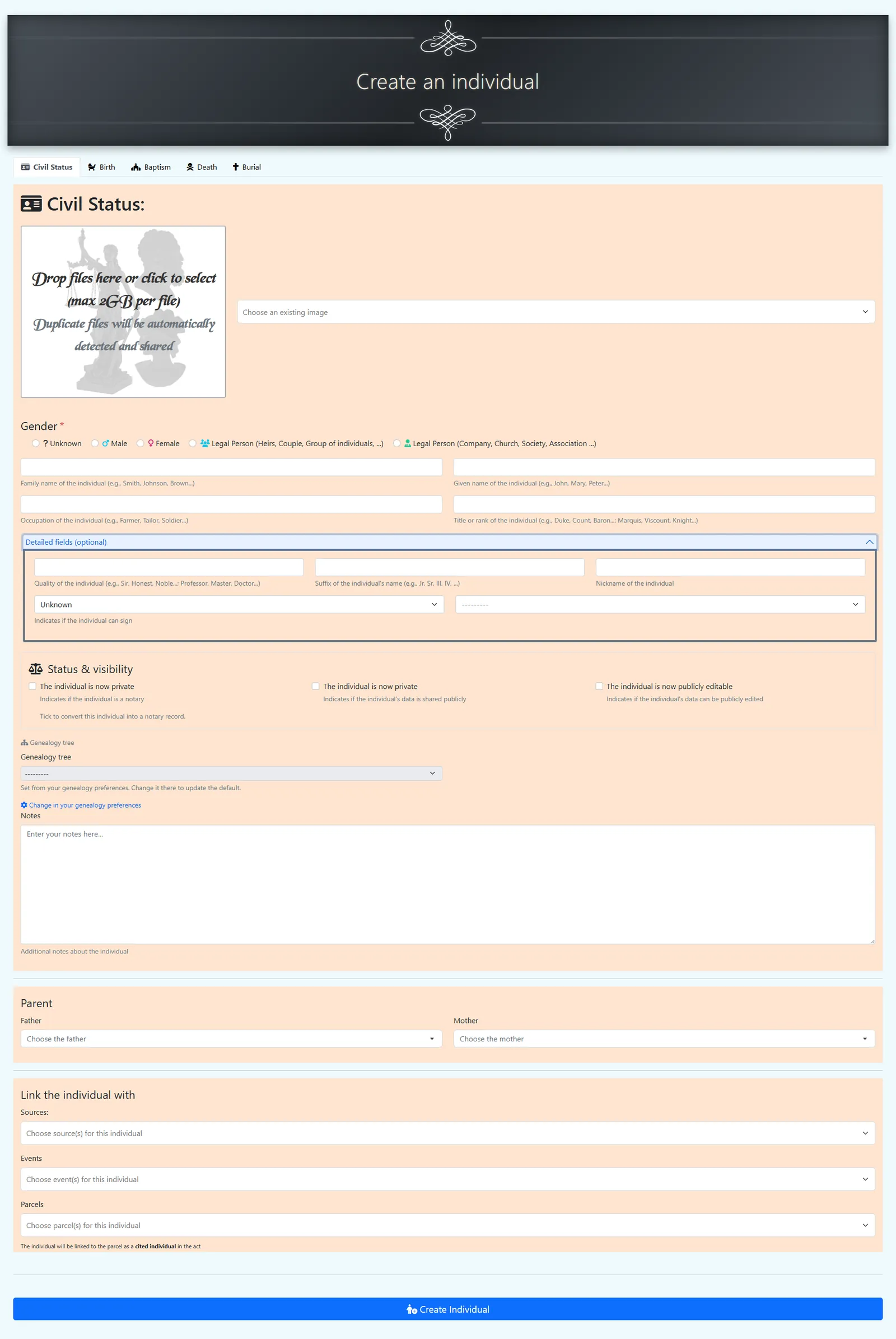 Individual creation — optional fields